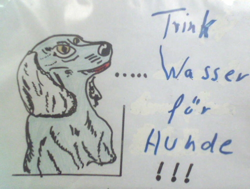 Trink Wasser für Hunde (Bezirksamt Hamburg-Eppendorf © Dr. Oliver Schäfer 2006_eheFCPEm_f.jpg
